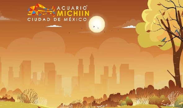 ACUARIO MICHIN VERANO TARDE